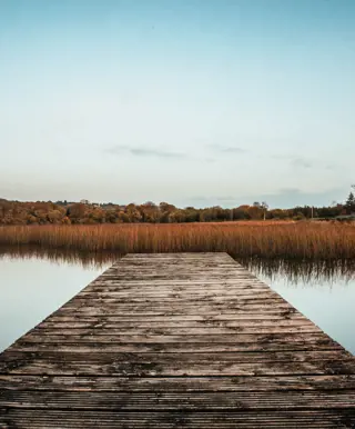 Beobachte Flore und Fauna in Lough Graney